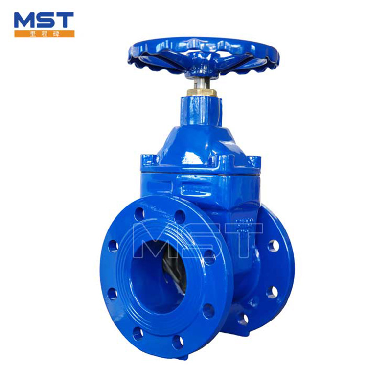 Double flange sluice valve