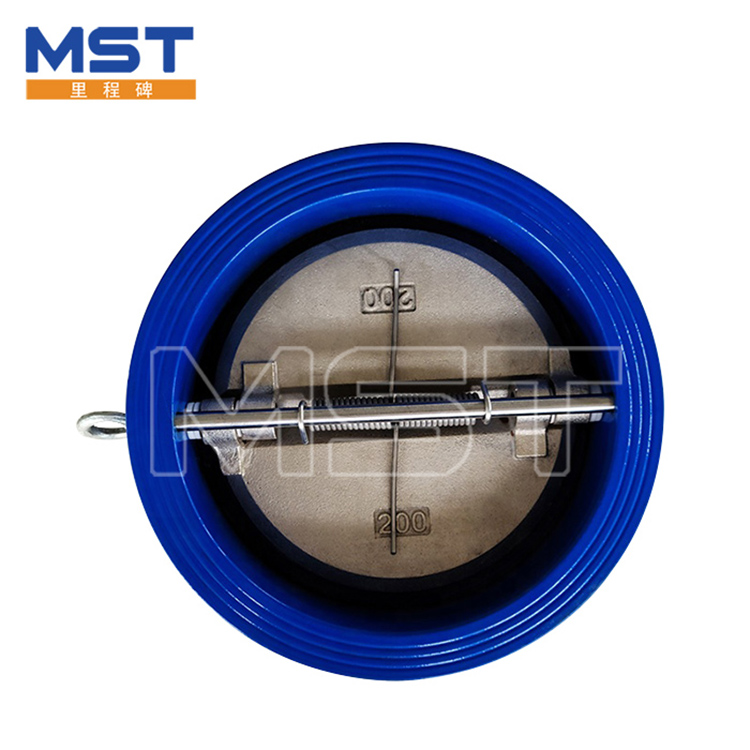 Dual plate check valve