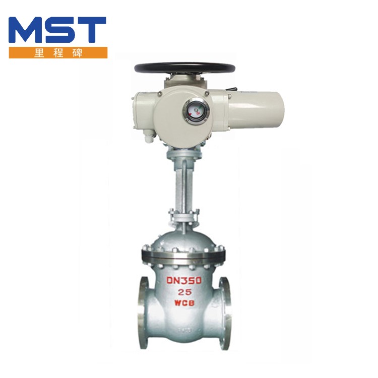 Electric Stainless Steel Gate Valve