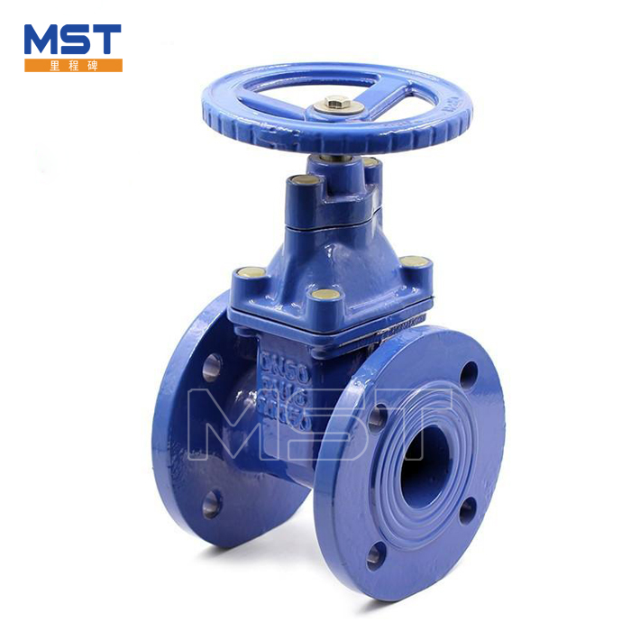 Flanged Type Gate Valve