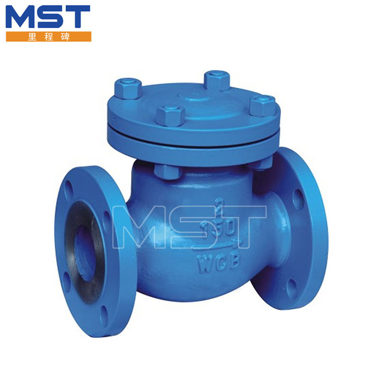 Flanged WCB Swing check valve