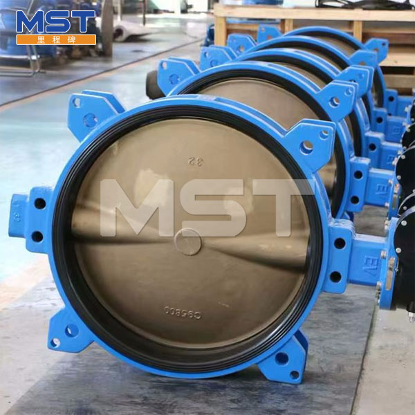 Large Butterfly Valve