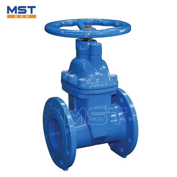 Resilient Wedge Gate Valves