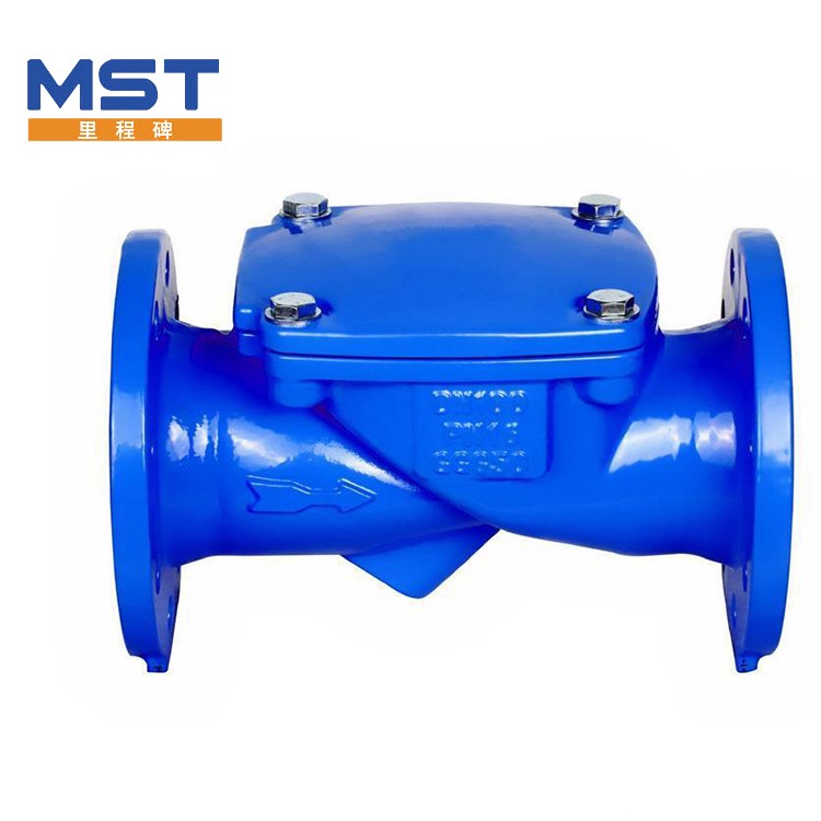 Rubber Disc Check Valve