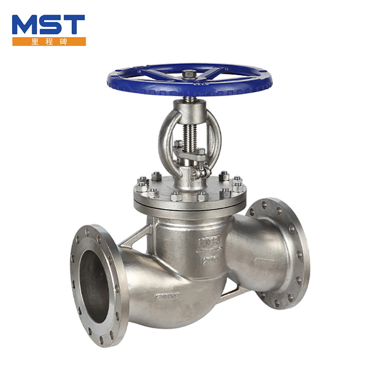 Stainless Steel Angle Globe Valve