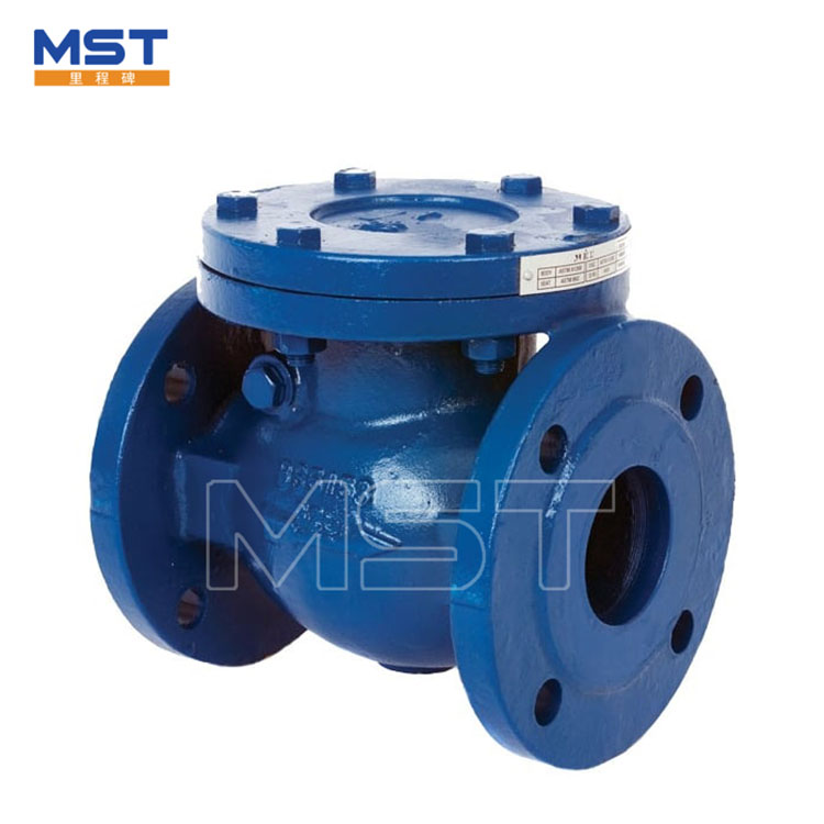 Swing Check Valve Flanged