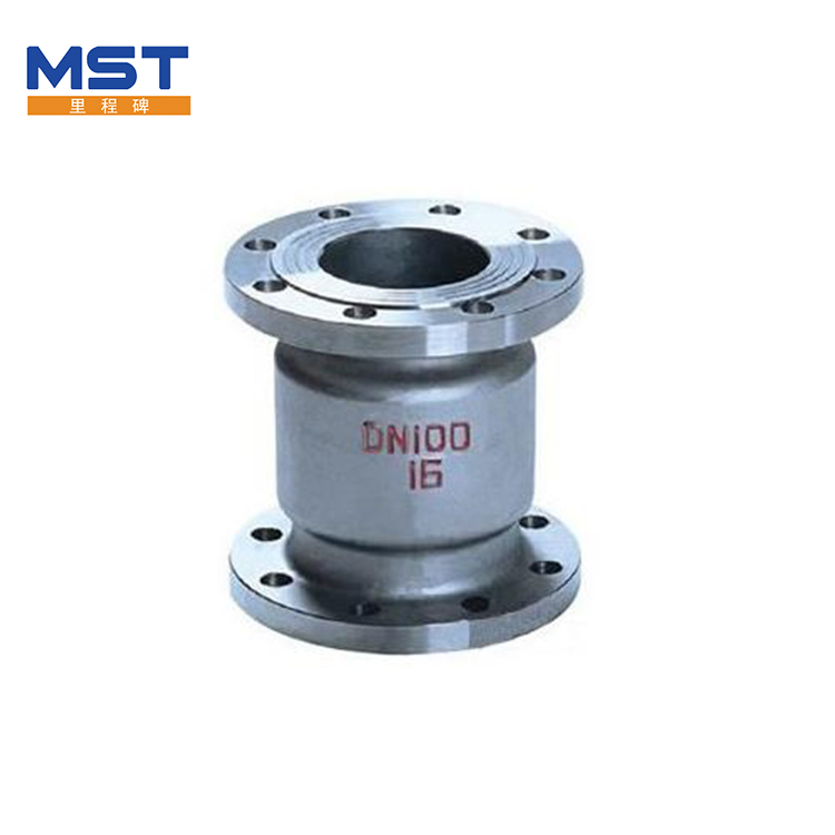 Vertical Check Valve