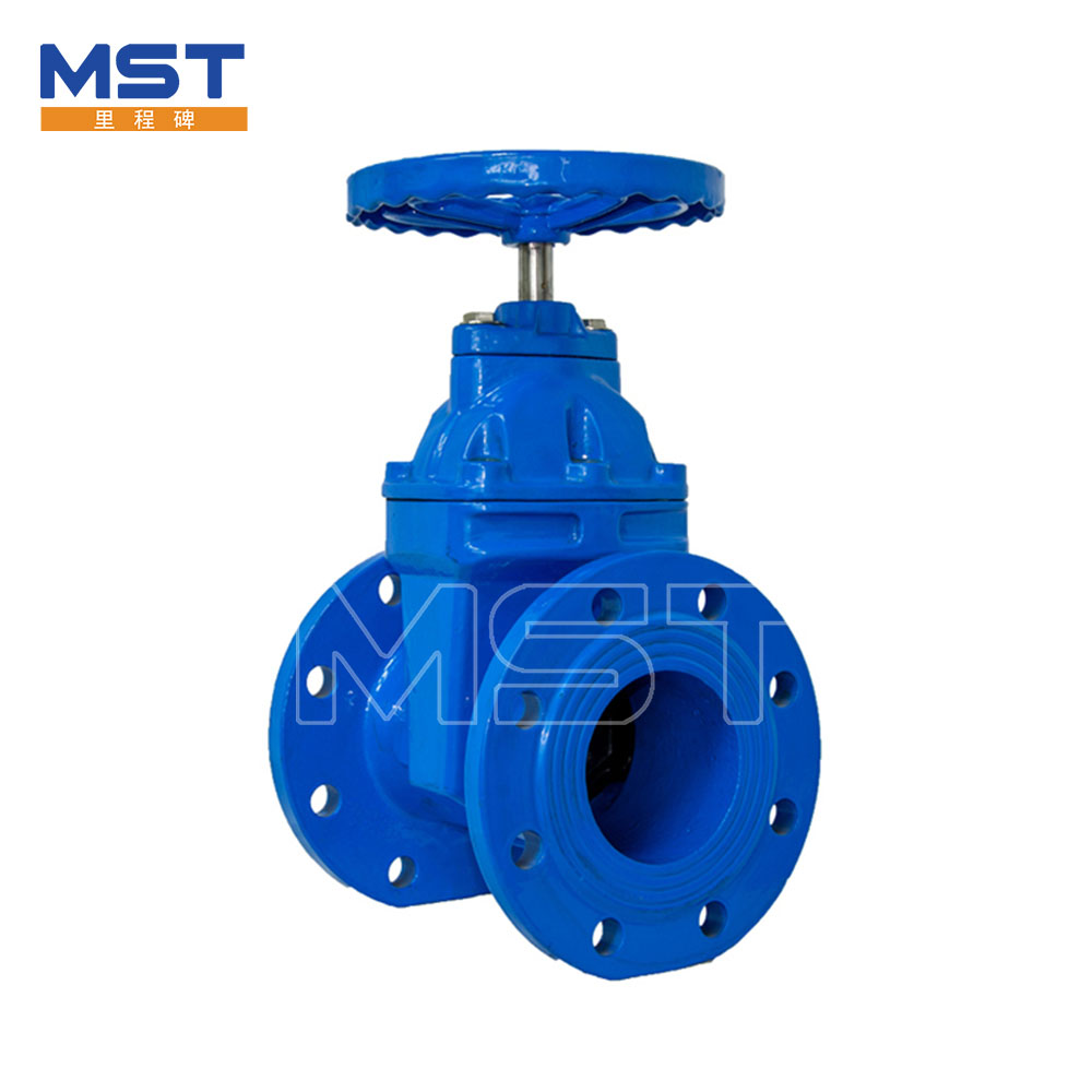 Water Gate Valve