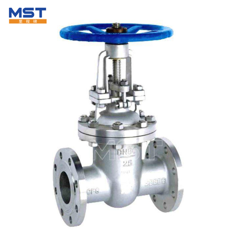 Water Main Gate Valve